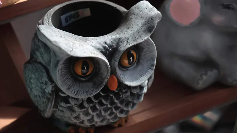 Cristina Rodríguez Aguilar es odontóloga